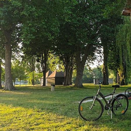 *Gite Aux Grappes Du Pressoir* A 2 Km De Beauval Seigy Eksteriør bilde