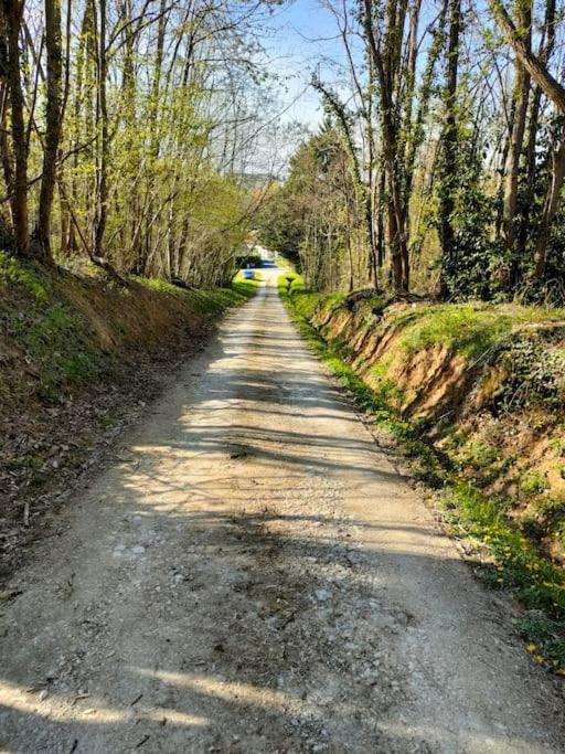 *Gite Aux Grappes Du Pressoir* A 2 Km De Beauval Seigy Eksteriør bilde