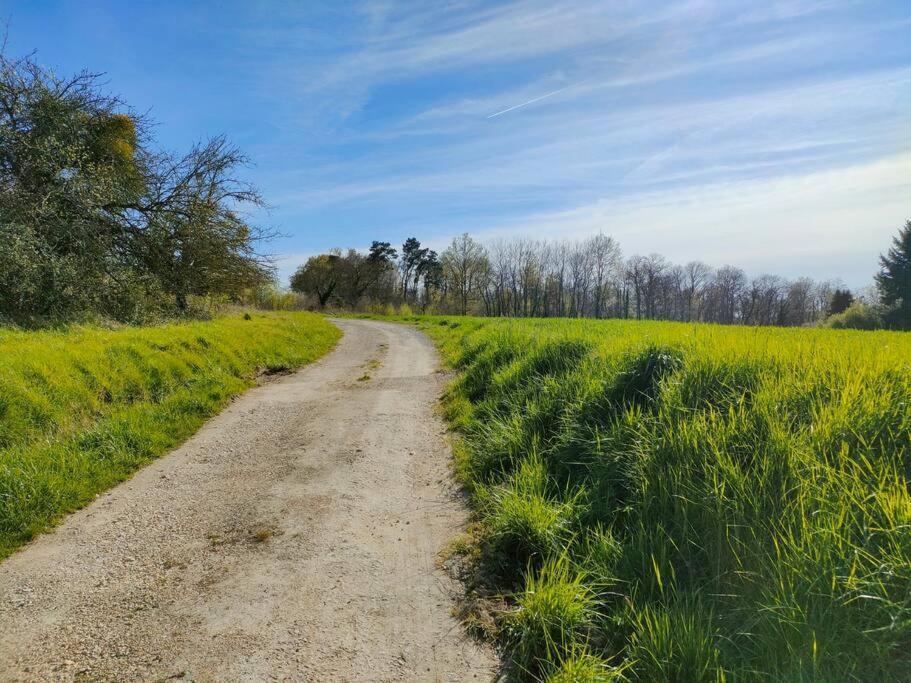 *Gite Aux Grappes Du Pressoir* A 2 Km De Beauval Seigy Eksteriør bilde
